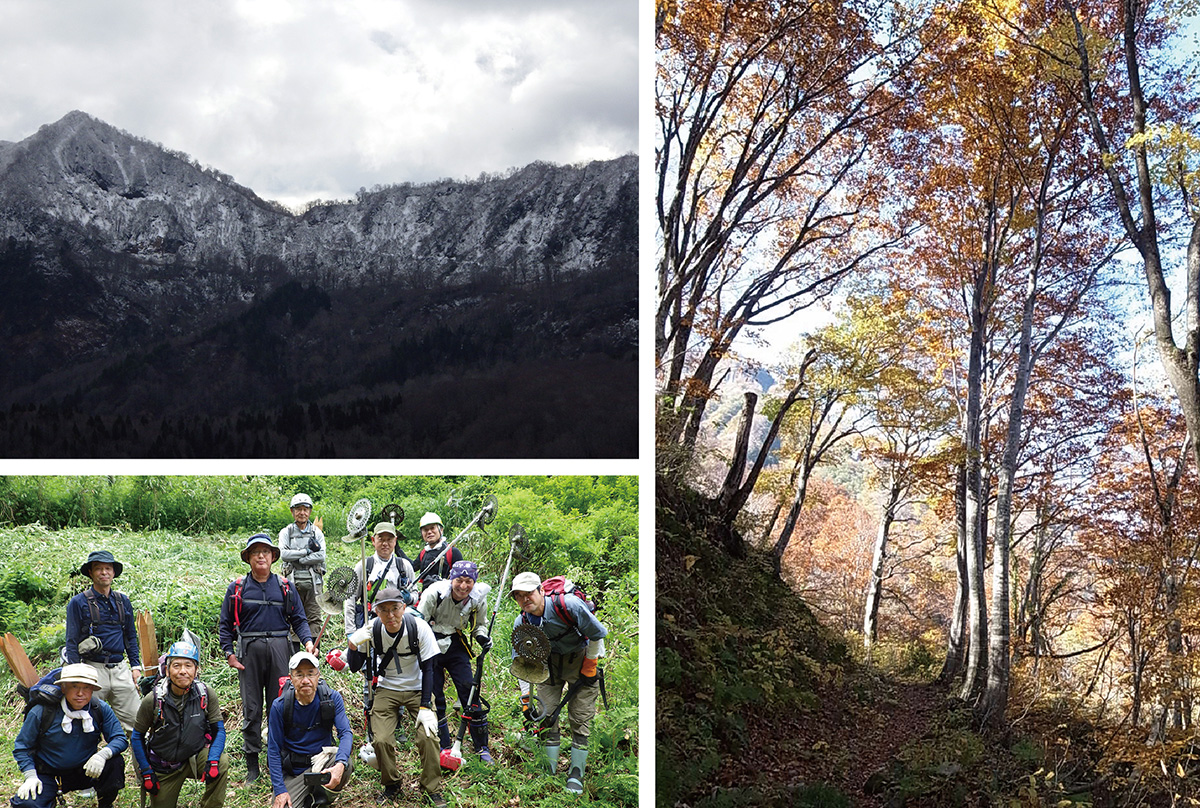美しいブナ林に囲まれた峠道／鞍掛峠へ向かう路形が薄っすら見える／草刈りボランティアで環境を整備